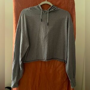 Size small cropped grey hooded long sleeve.